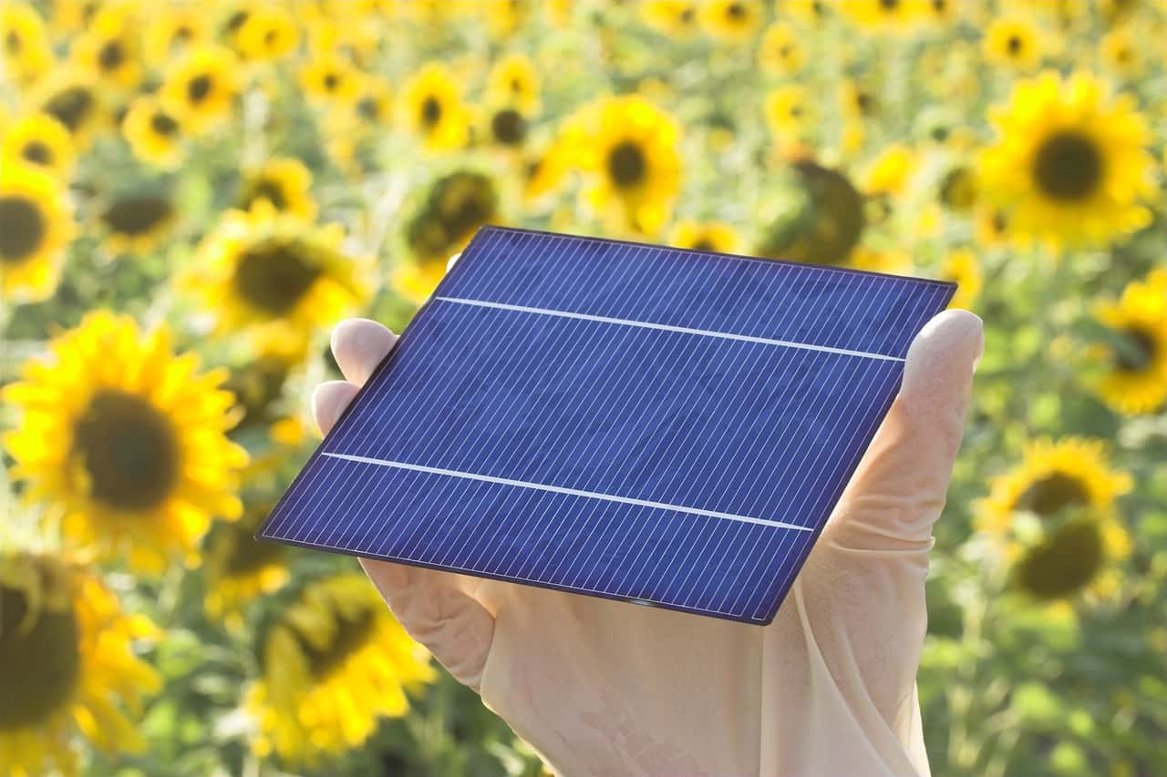 Solar Powerbank mit Steckdose: Beachten Sie dies beim Kauf